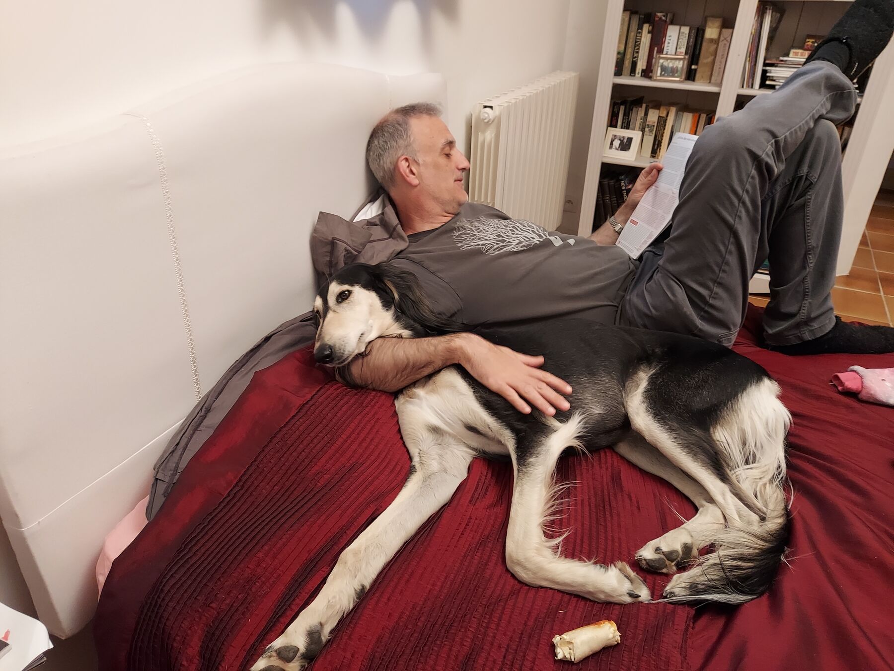 Sagi stretched out asleep on a red bed, a man reading beside him