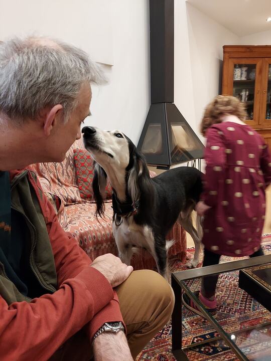 Sagi being stroked by a grey-haired man, a small girl beside them