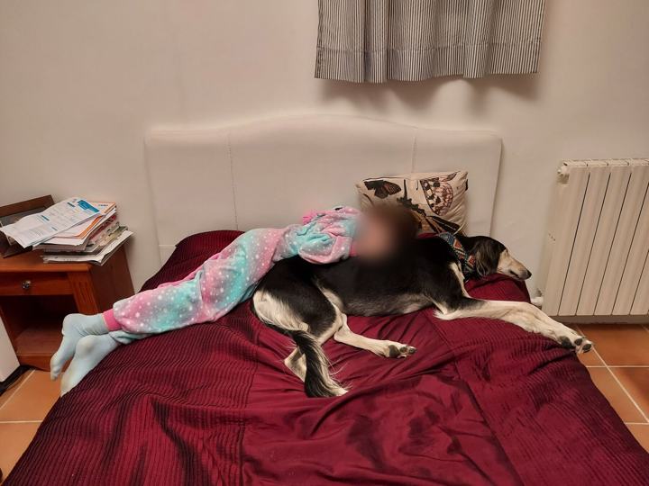 A child lying on the bed next to Sagi