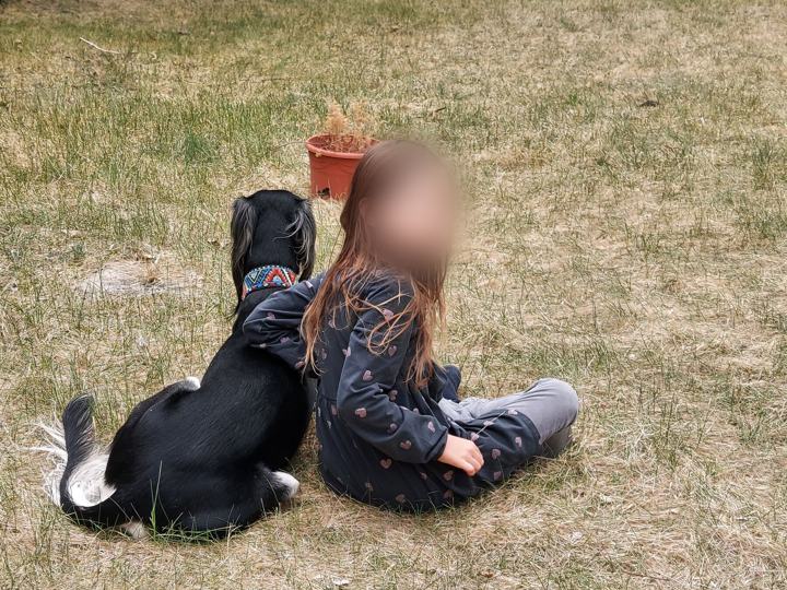 A girl sitting in the grass with Sagi