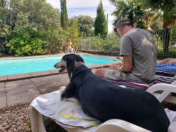 Sagi on a sun lounger by a pool