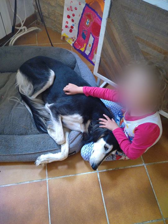 A girl in pink cuddling Sagi on a cushion